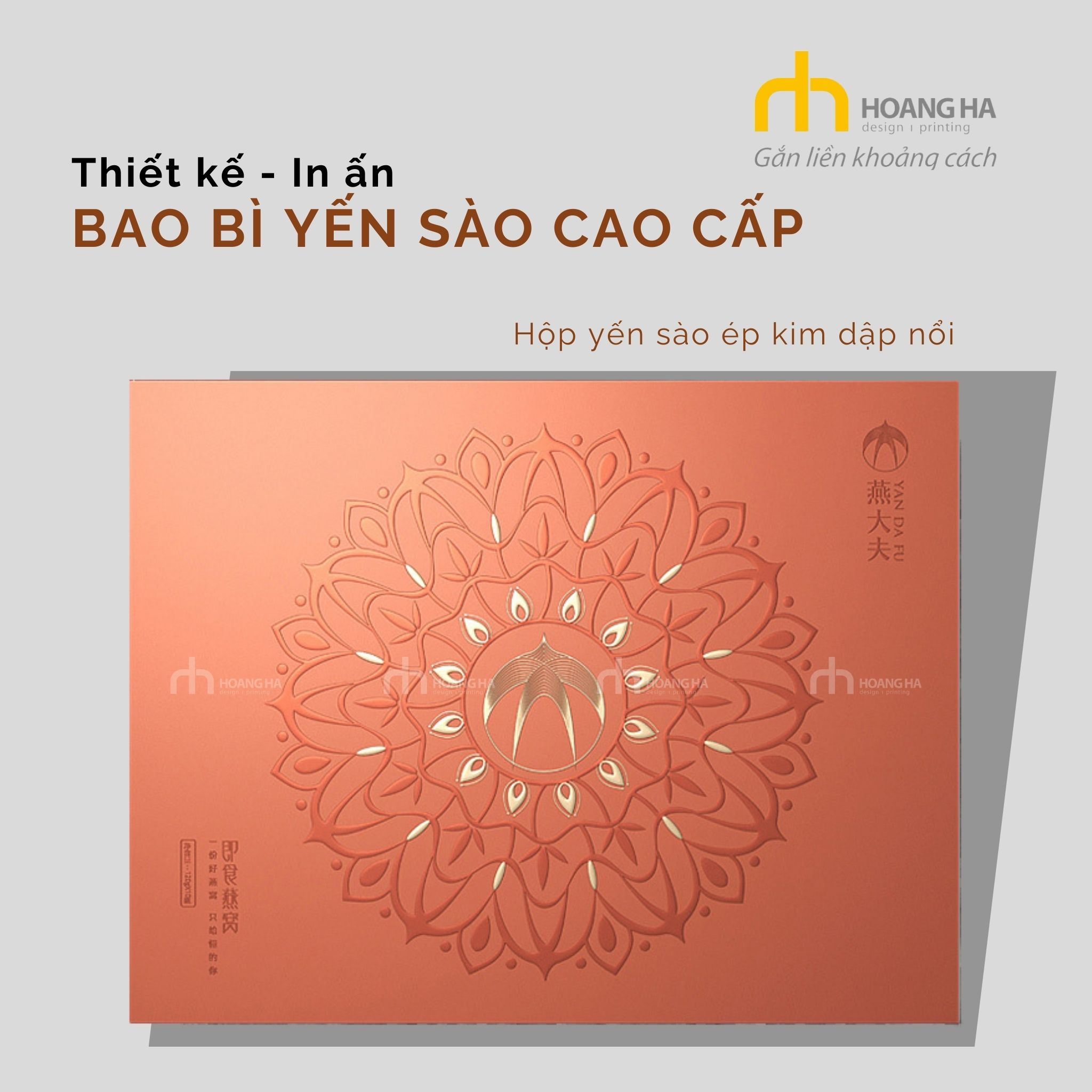 thiét kế - sản-xuất - in ấn bao bì yến sào cao cấp